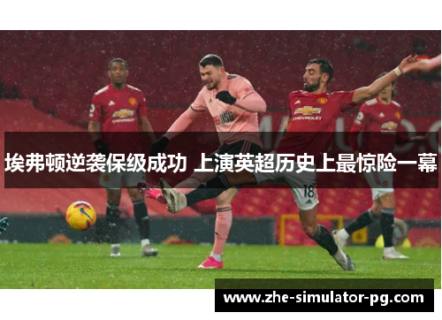 埃弗顿逆袭保级成功 上演英超历史上最惊险一幕 埃弗顿逆袭保级成功 上演英超历史上最惊险一幕