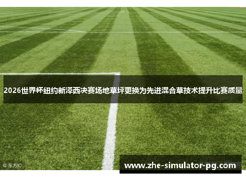2026世界杯纽约新泽西决赛场地草坪更换为先进混合草技术提升比赛质量 2026世界杯纽约新泽西决赛场地草坪更换为先进混合草技术提升比赛质量
