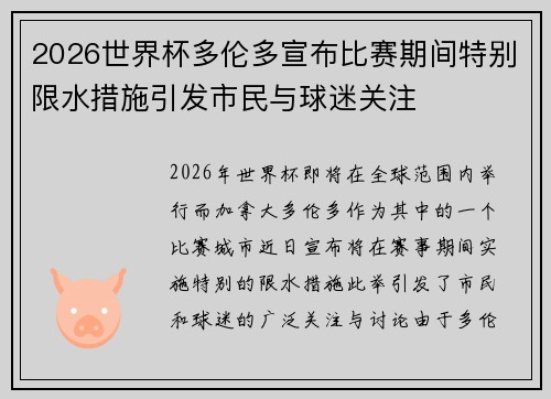 2026世界杯多伦多宣布比赛期间特别限水措施引发市民与球迷关注